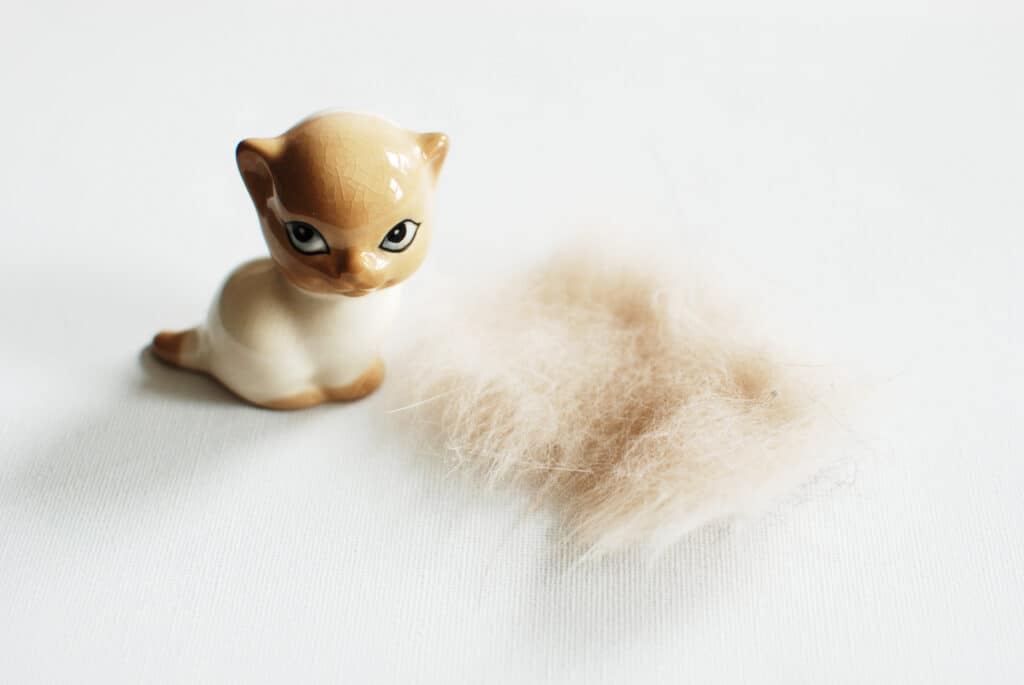 What to do with cat hair after brushing.