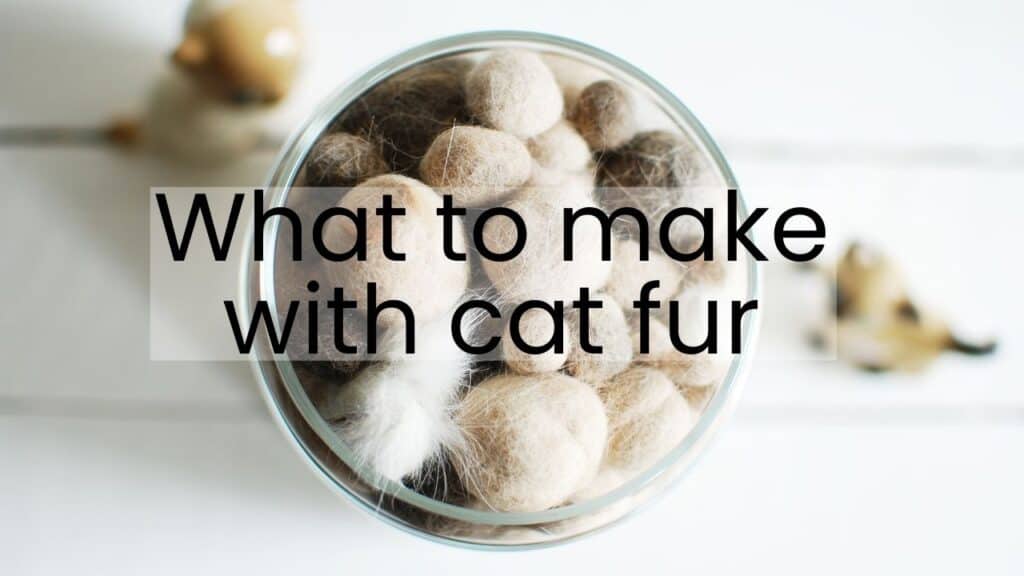 cat fur rolled into balls for keepsakes.