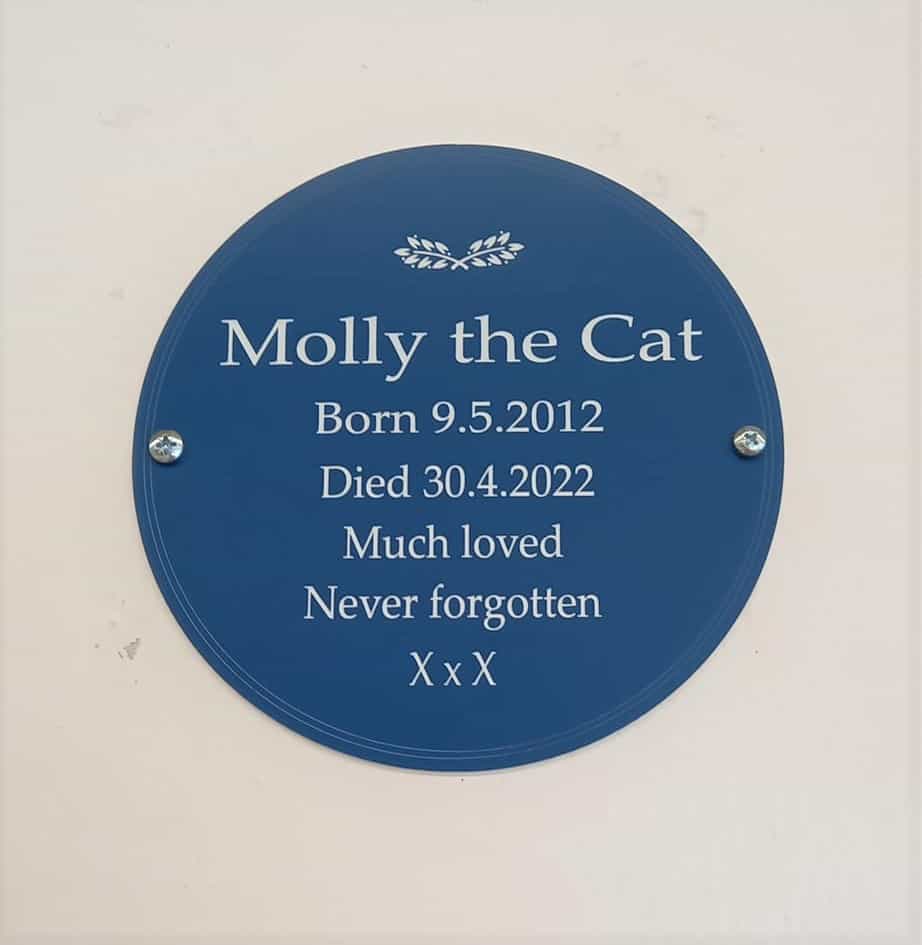 Molly the cat tesco wall plaque