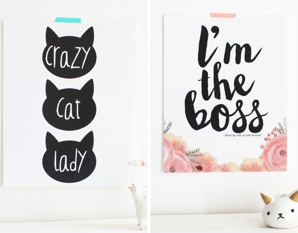 where to get free cat printables