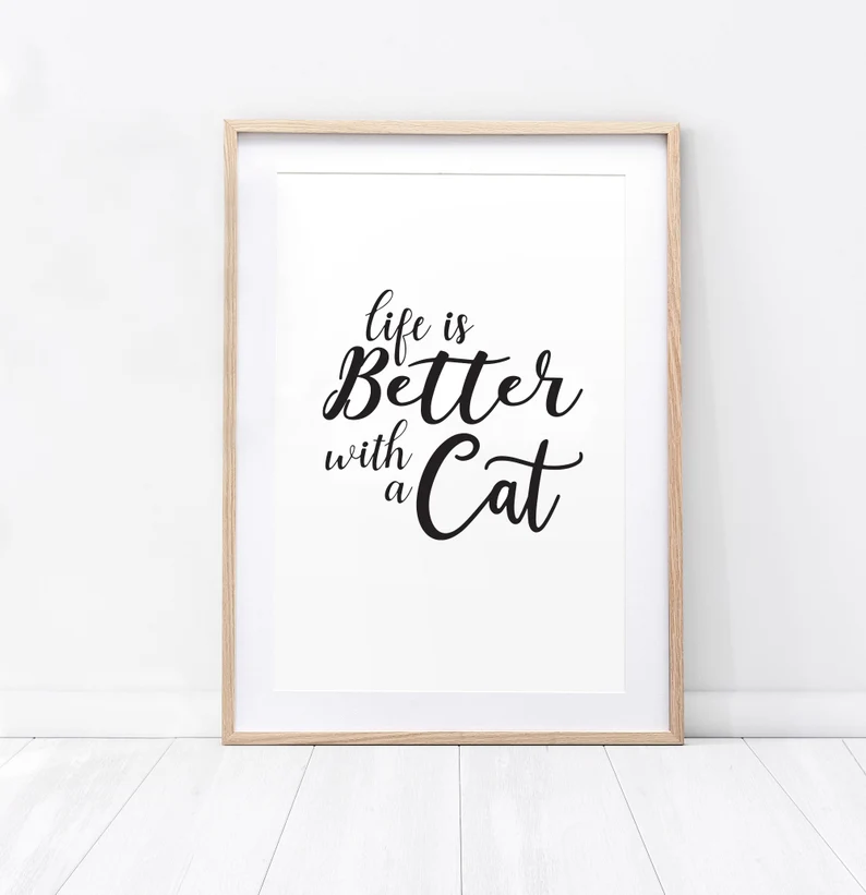 life is better with a cat