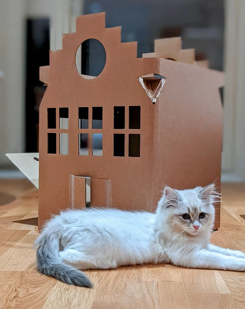 cardboard toys for cats