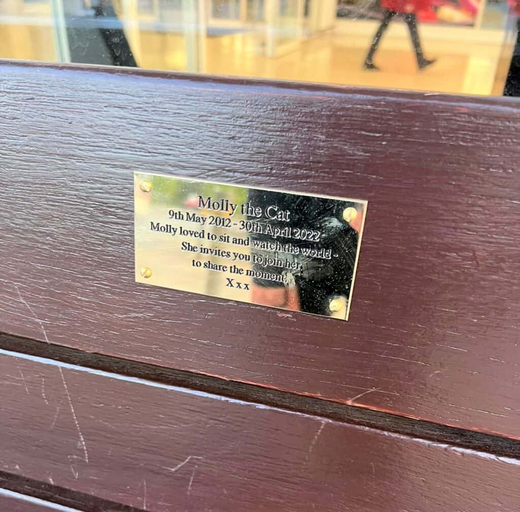 Molly the cat memorial bench