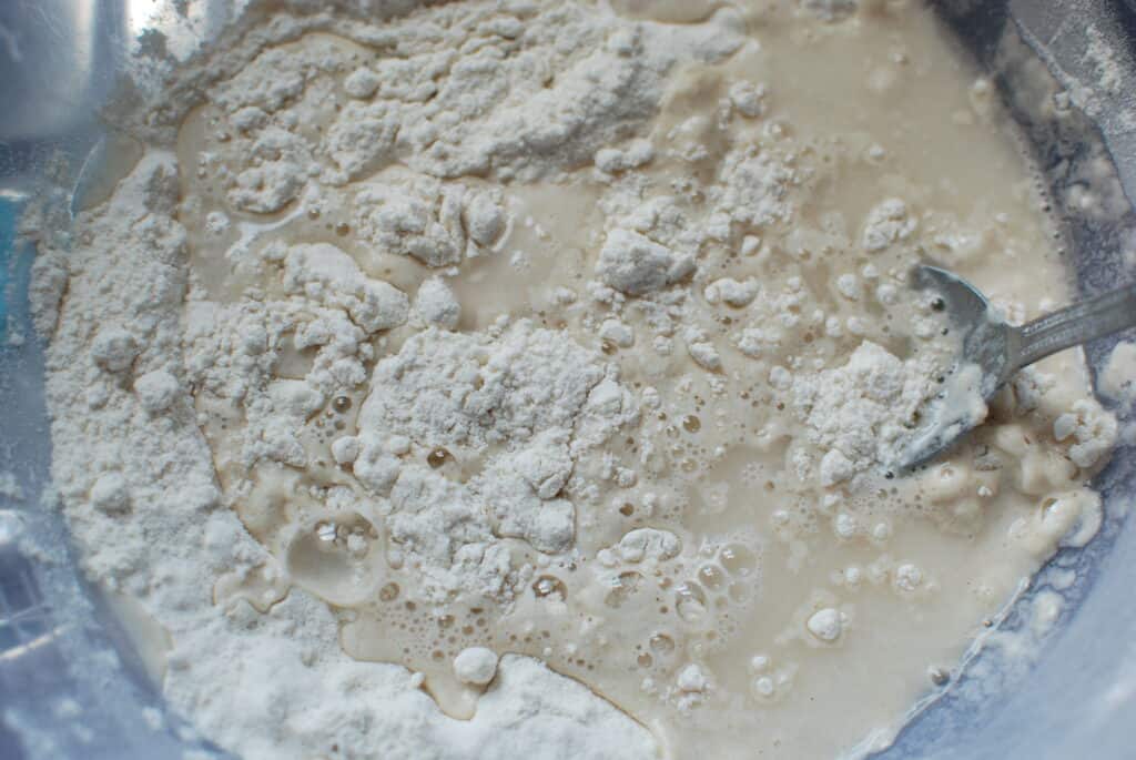 Salt dough recipe koro cinco cats