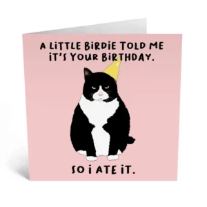 Funny cat cards