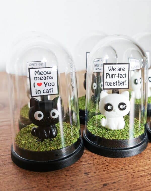gift for cat lovers