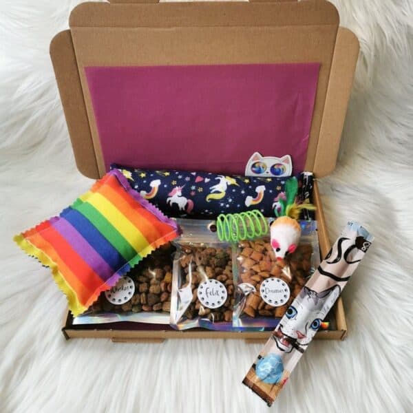 Cat gift box