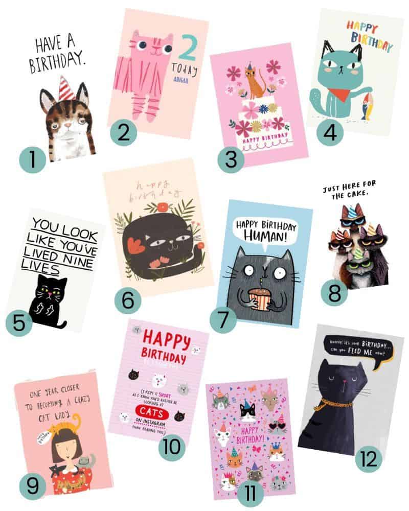 cat themed birthday cards