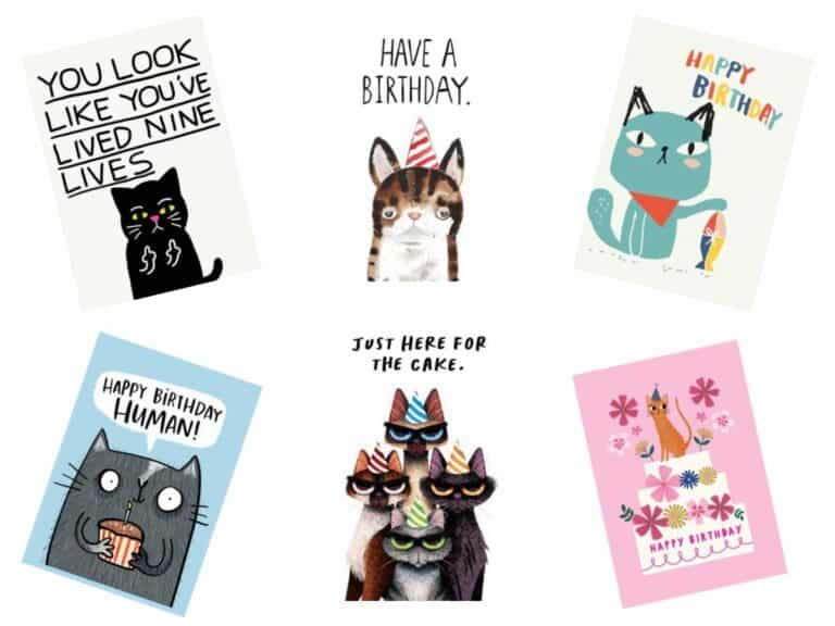 Cat themed birthday cards