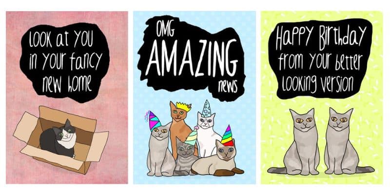 cat greetings cards