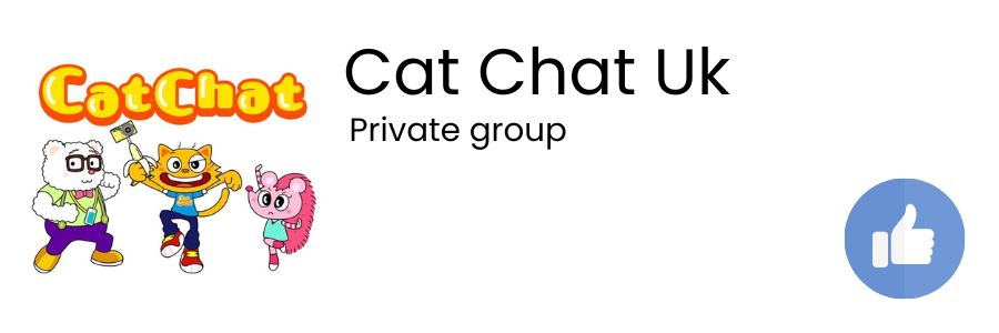 The best Facebook groups for cat lovers