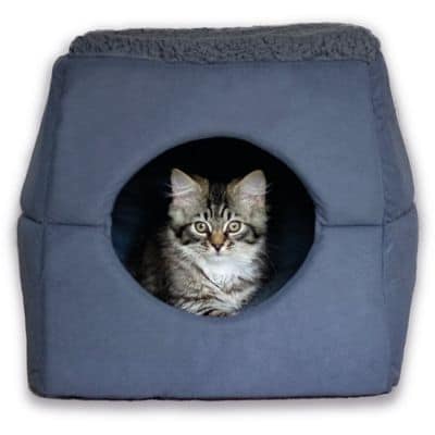 2 in 1 cat bed