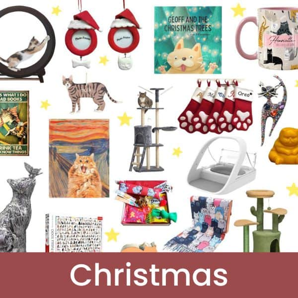 Christmas gifts for cat lovers