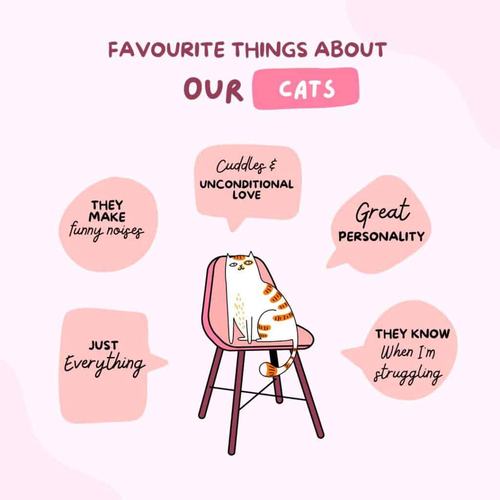 National cat lover's month, why we love our cats.