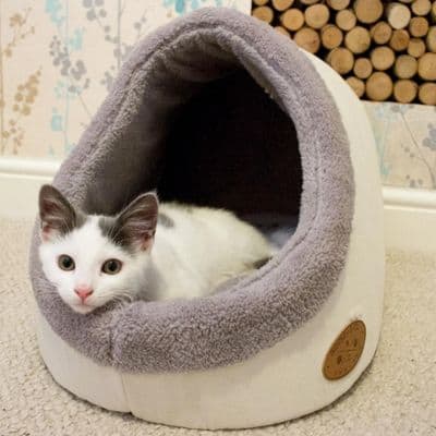 Fluffy cat beds with a roof