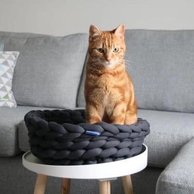 Knitted beds for cats