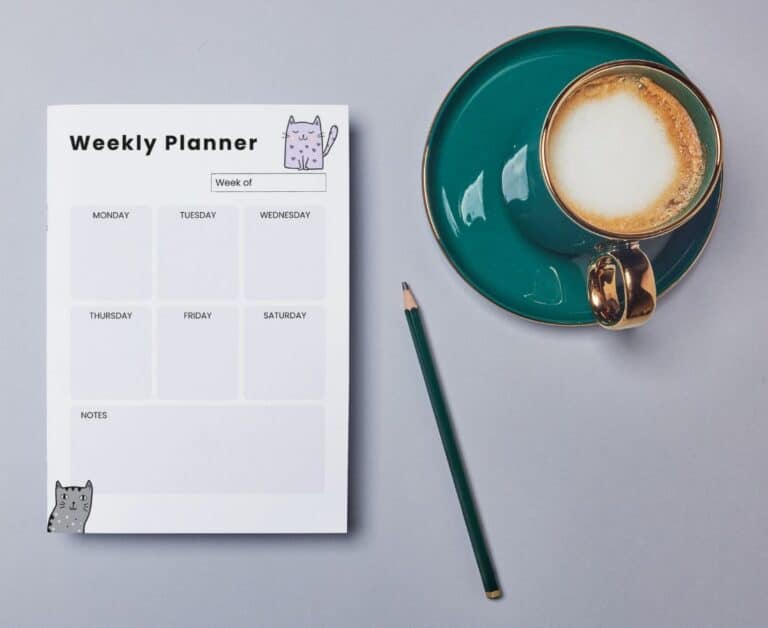 Free cat themed weekly planner page