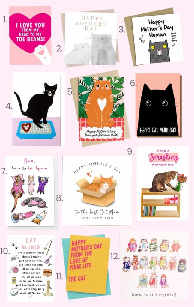 Best mother's day cards from the cat Korocincocats