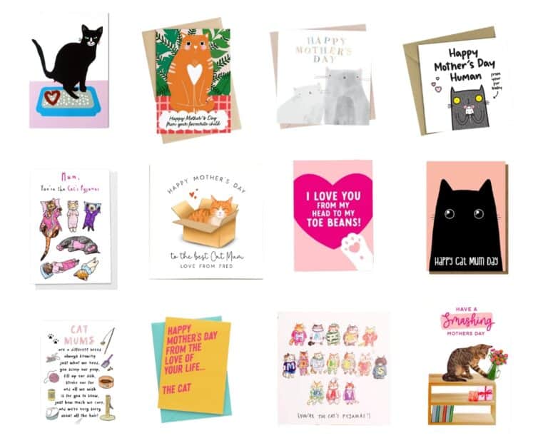 Cat-tastic Mother’s Day cards from the cat