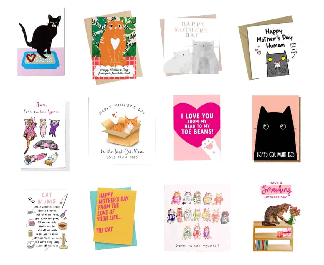 Mother's Day cards from the cat Korocincocats