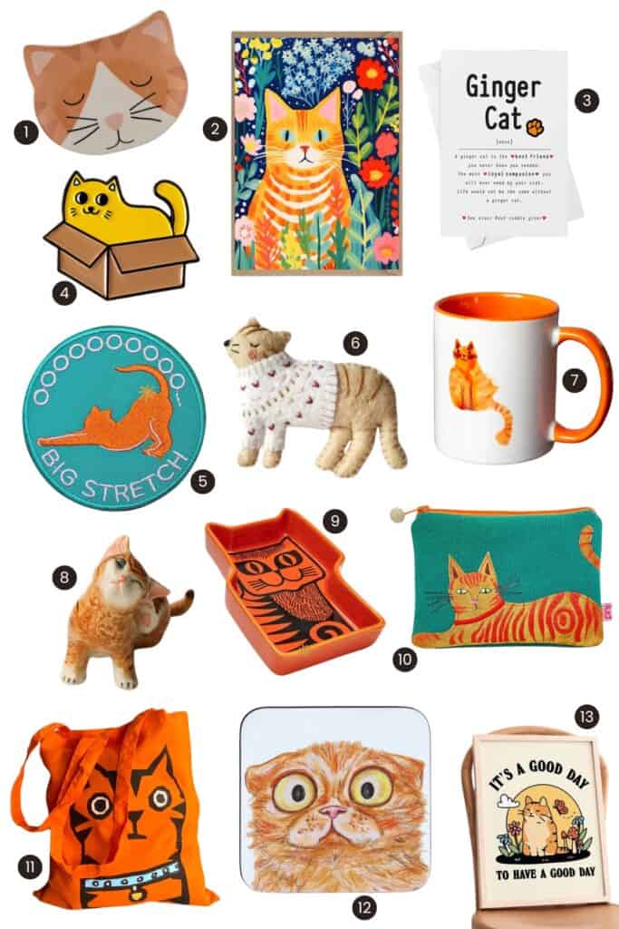 Best gift ideas for ginger cat lovers