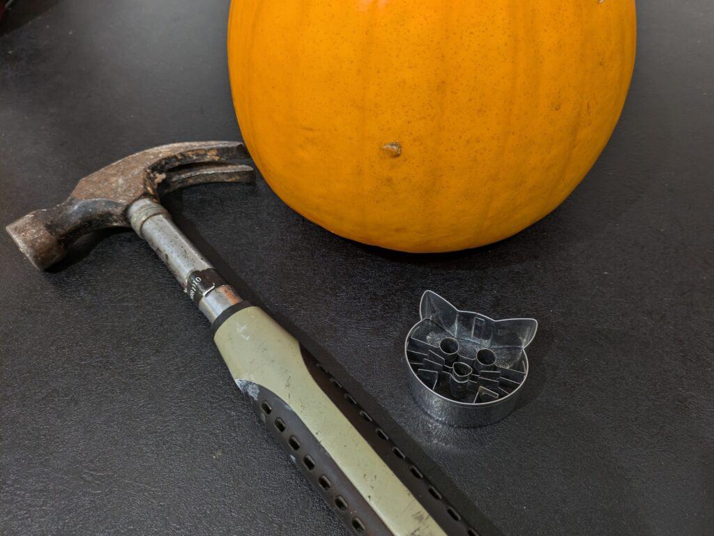 Cat pumpkin diy