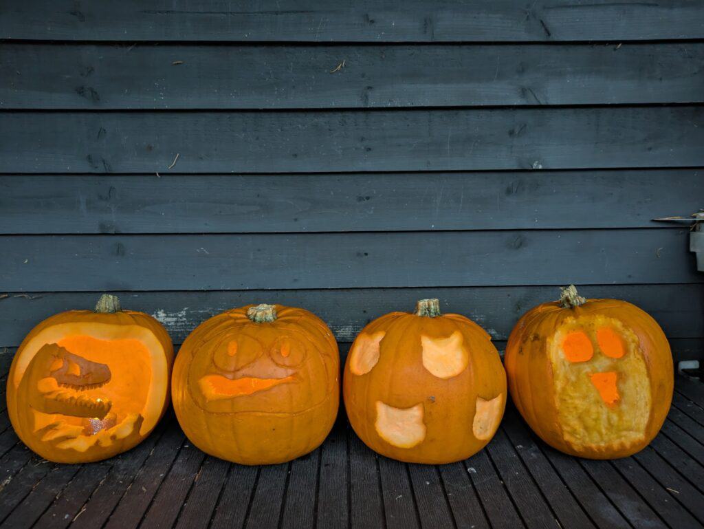 Pumpkin carving ideas for cat lovers Koro Cinco Cats