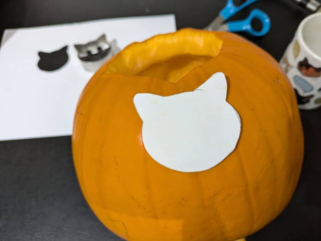 Cat pumpkin design ideas Korocincocats